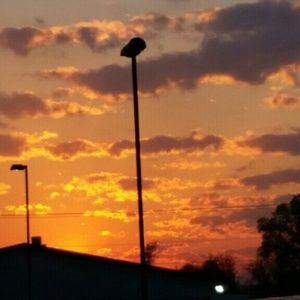 Meet your Posher, Geneatae