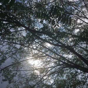 Meet your Posher, Mackenzie