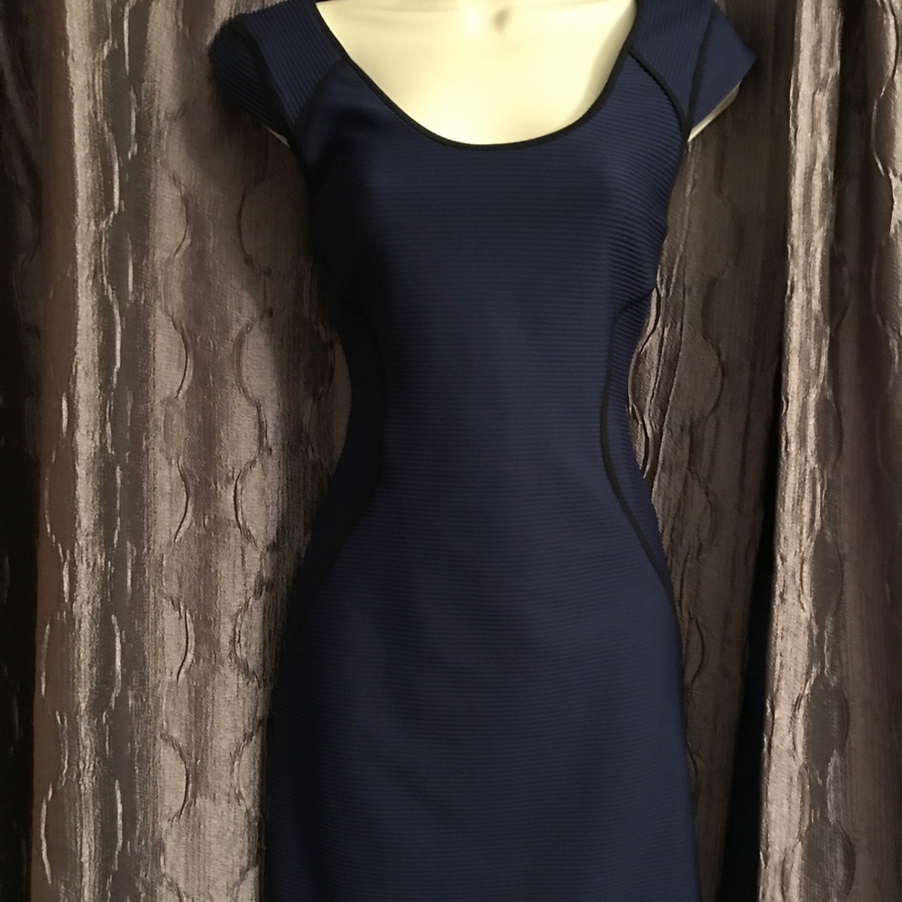 Express Navy Blue Dress