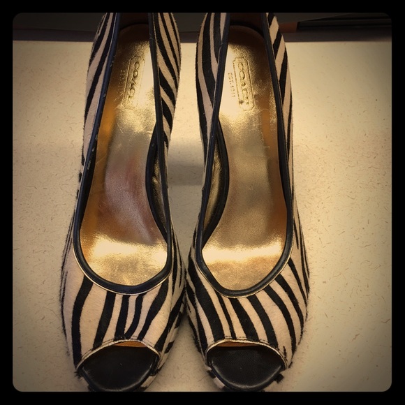 New zebra Coach heels