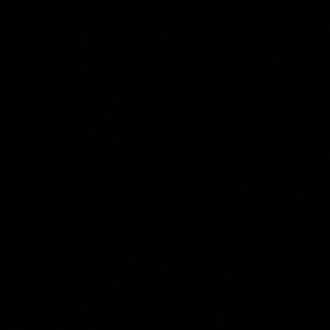 Meet your Posher, Lynnette