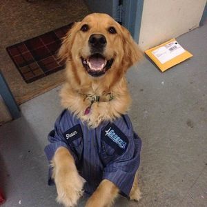 Meet your Posher, Kristen