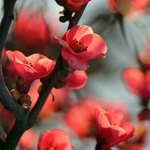 Meet your Posher, Georgia