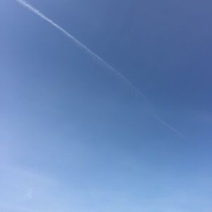 Meet your Posher, Camden