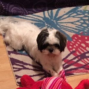 Meet your Posher, India