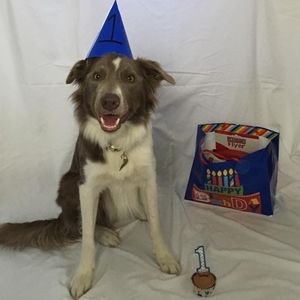 Meet your Posher, Bethany