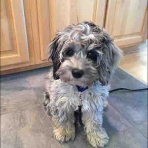 Meet your Posher, Gretchen