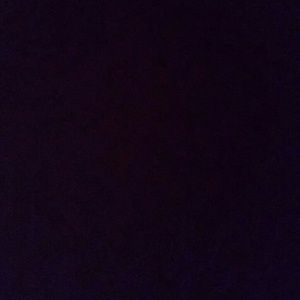 Meet your Posher, Dusty