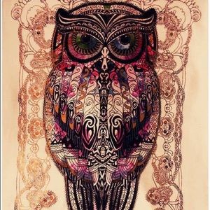 Meet your Posher, Shelby