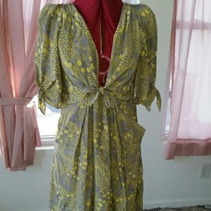 Beautiful silk dress!