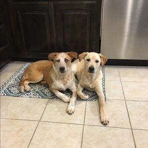 Meet your Posher, Lindsey