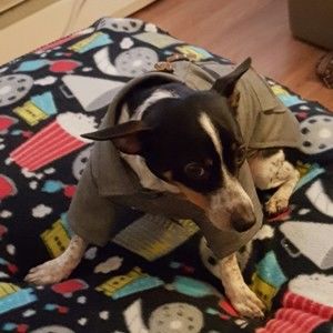 Meet your Posher, Tamara