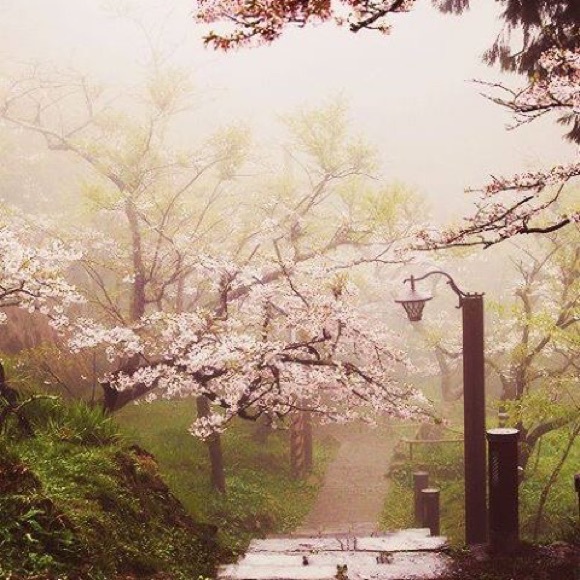 Meet your Posher, Autumn