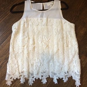 Greylin Lace Top