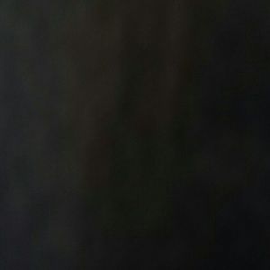 Meet your Posher, Lizzy