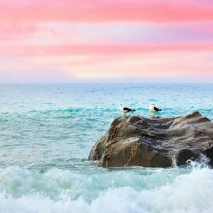 Meet your Posher, Leticia