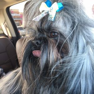 Meet your Posher, Kimberly