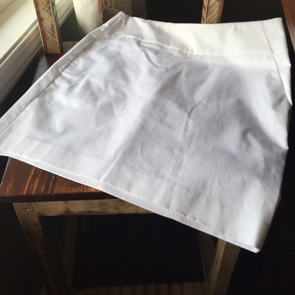 NEVER worn Ann Taylor Pencil Skirt