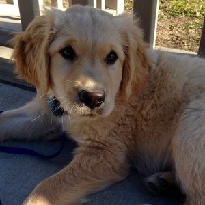 Meet your Posher, Kendall