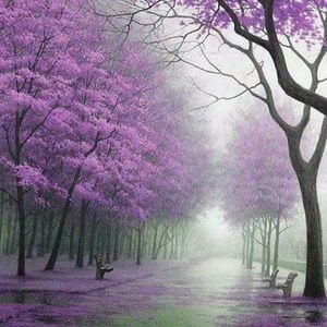 Meet your Posher, Magaly