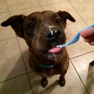 Meet your Posher, Meredith