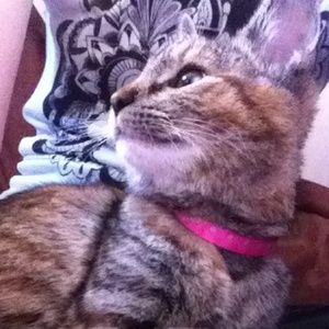 Meet your Posher, Amber