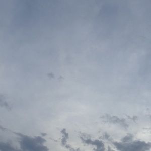 Meet your Posher, Romi