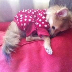 Meet your Posher, Deanna