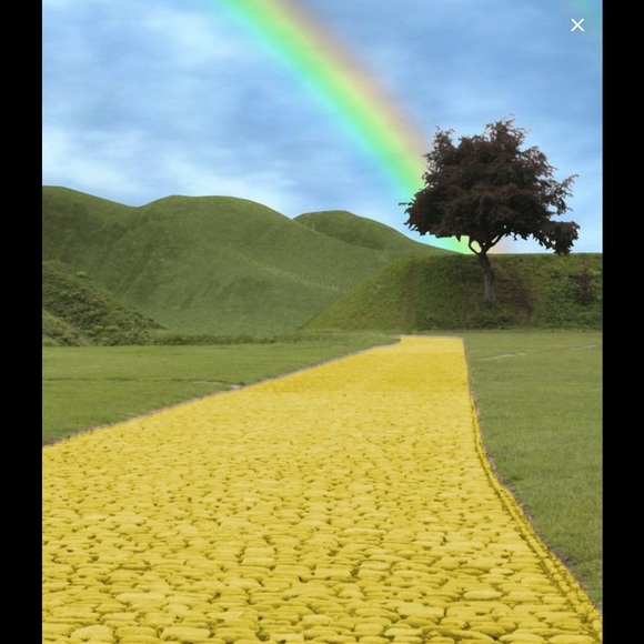 🦁FOLLOW ME DOWN THE YELLOW BRICK ROAD🌈 - Picture 3 of 4