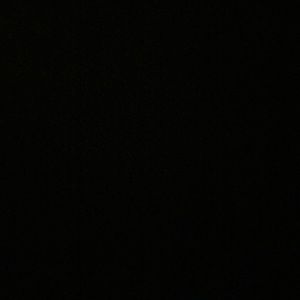 Meet your Posher, Daneen