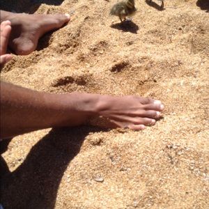 Meet your Posher, Tami