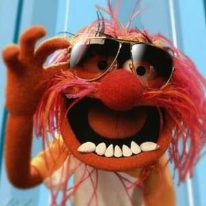 Meet your Posher, Joe