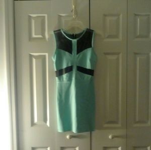 Mint Mesh Bodycon Dress