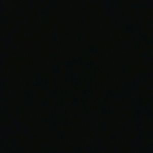 Meet your Posher, Laila