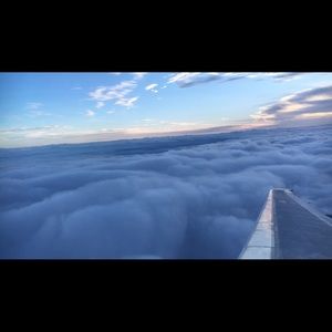 Meet your Posher, Brie