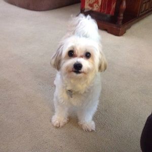 Meet your Posher, Karla