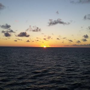 Meet your Posher, Roberta