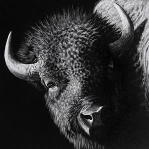 Meet your Posher, Cathy