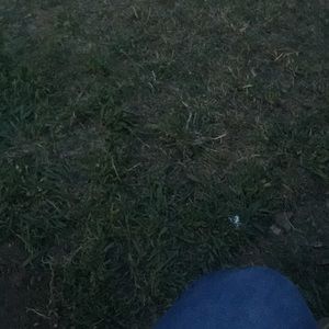 Meet your Posher, Jade