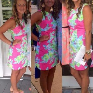 basically new Lilly Dress