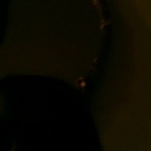 Meet your Posher, Doris