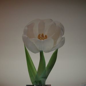 Meet your Posher, Mable