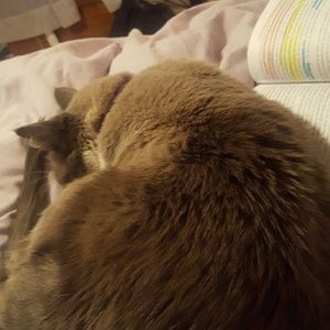 Meet your Posher, Kaitlin