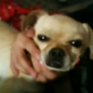 Meet your Posher, Lana