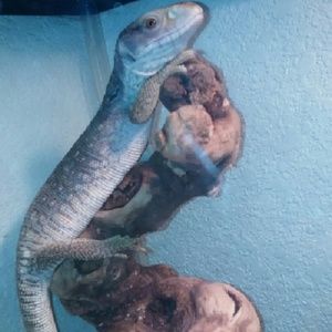 Meet your Posher, Mary