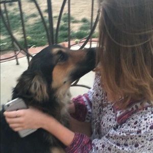 Meet your Posher, Cailey