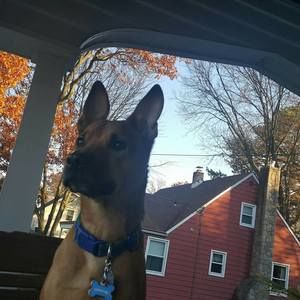 Meet your Posher, Charity