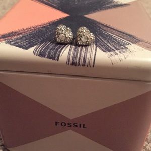 Fossil Earrings