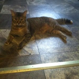 Meet your Posher, Heather