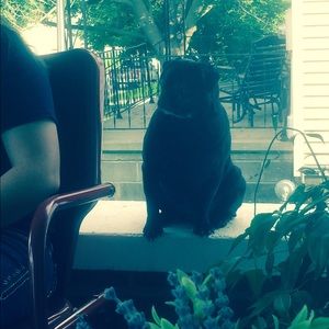 Meet your Posher, Tracy